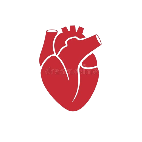 Heart Icon
